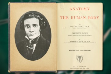 Who wrote Gray's Anatomy and why is the book called Gray's Anatomy?