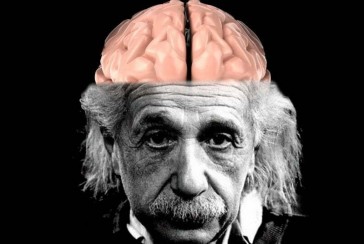 Who are the four famous people whose brains were examined after their deaths?