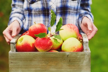 Did you know that Newton's nephews are in the cider business?