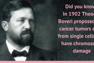 Thanks to him, we understood cell division: Who is Theodor Boveri?