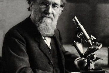 Thanks to him, we knew about the existence of probiotics: Who is Élie Metchnikoff?