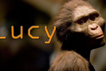 Claimed to be the oldest ancestor of man: Who is Lucy? (Lucy Australopithecus)