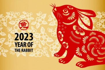 We will enter the year of the rabbit in 2023: What are the characteristics of the people of the rabbit sign?