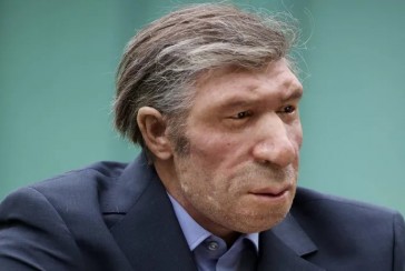 There's a bit of Neanderthal gene in your genes, too: Who are Neanderthal humans?