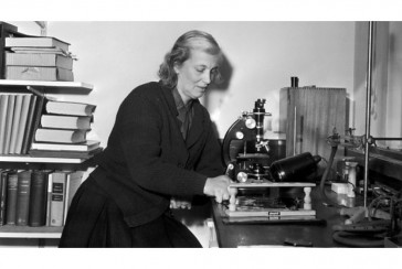 The chemist who discovered the structure of insulin and pioneered its progress until today: Who is Dorothy Hodgkin?