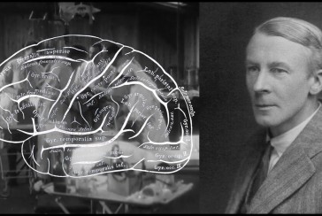 Thanks to him, we understood the electrical activity of the brain: Who is Edgar Douglas Adrian?