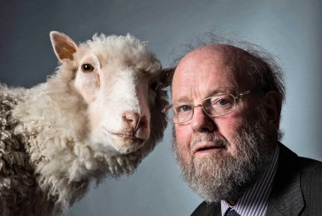 The scientist who cloned Dolly the sheep: Who is Ian Wilmut?