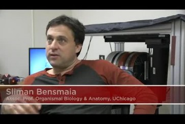 Scientist working to make the prosthesis feel: Who is Sliman Bensmaia?