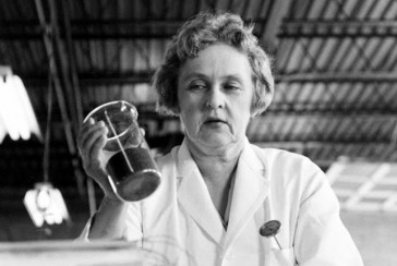 The biophysicist who earned the nickname "Queen of the Sun" for her inventions: Who is Mária Telkes?