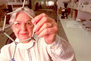 Chemist, the inventor of the material used in steel vests: Who is Stephanie Kwolek?