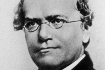 Mendel as the Father of Genetics: Who is Gregor Mendel?