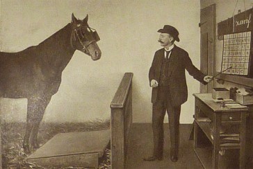 Whose horse is the mathematician Clever Hans?