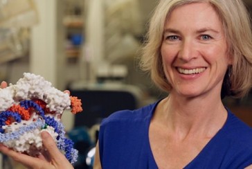 Biochemist who won the 2020 Nobel Prize in Chemistry for her genome editing method: Who is Jennifer Doudna?