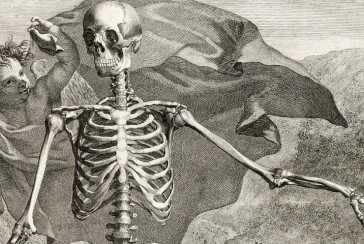 He brought new methods to anatomy painting: Who is Bernhard Siegfried Albinus?