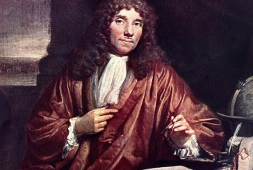 Founding father of microbiology: Who is Antony van Leeuwenhoek?