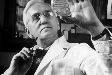 The doctor that paved the way for the invention of antibiotics: Alexander Fleming