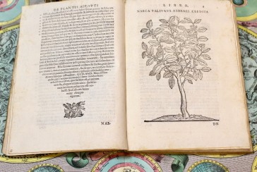 The botanist who introduced coffee and banana plants to Europe: Who is Prospero Alpini?