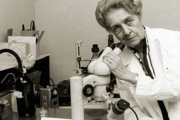 The story of the transition from her laboratory in bedroom to the Nobel Prize: Who is Rita Levi-Montalcini?