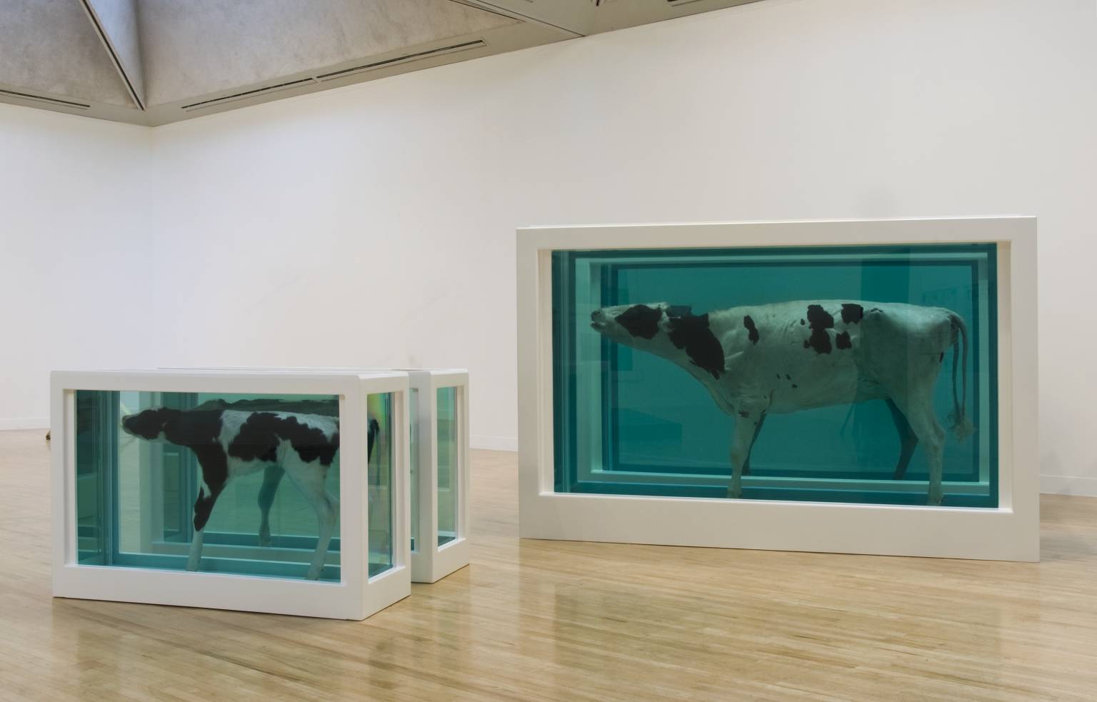 Damien Hirst: A Different Approach to Contemporary Art