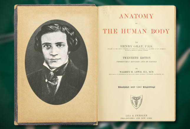 Who wrote Gray's Anatomy and why is the book called Gray's Anatomy?