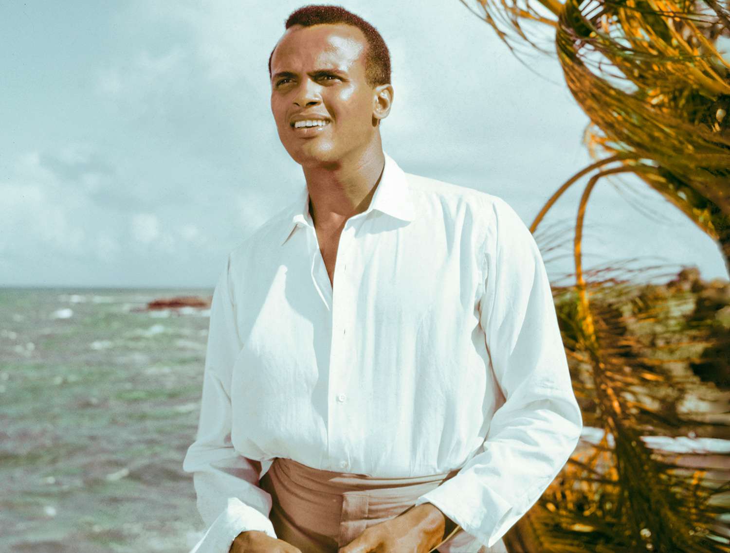 Calypso King: Who is Harry Belafonte?