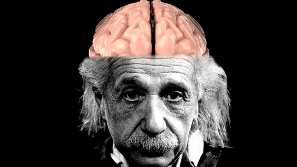 Who are the four famous people whose brains were examined after their deaths?