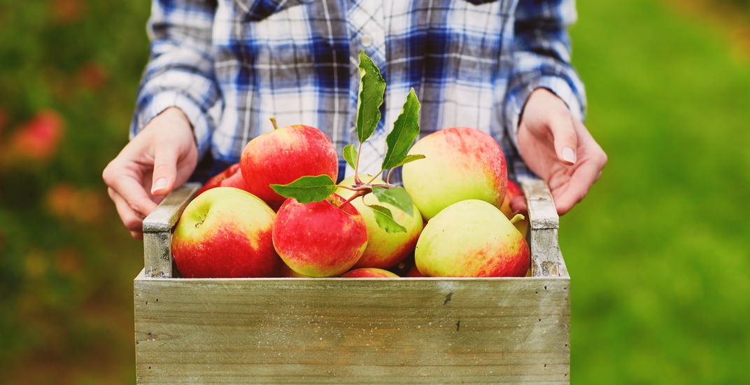 Did you know that Newton's nephews are in the cider business?