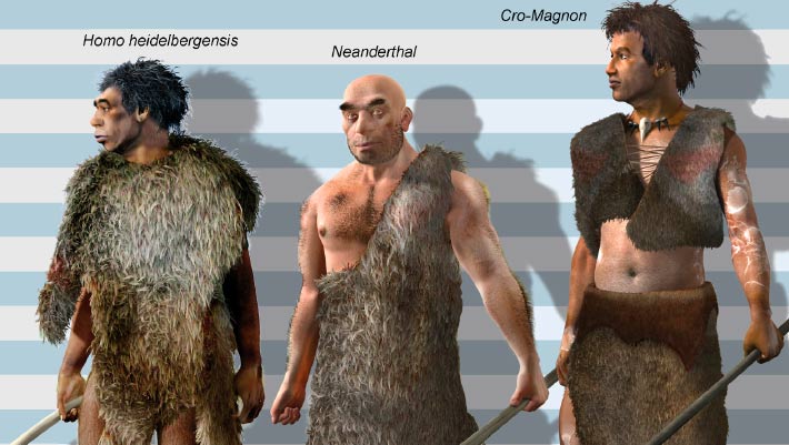 Most of his/her fossils have been found in Europe: Who is Homo Heidelbergensis?
