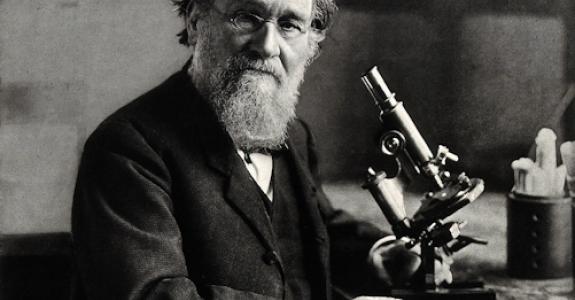 Thanks to him, we knew about the existence of probiotics: Who is Élie Metchnikoff?