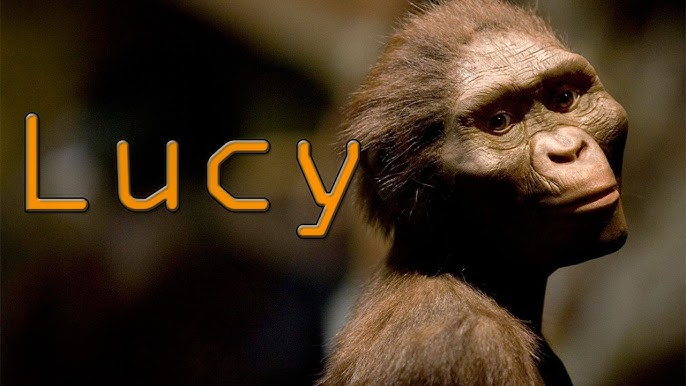 Claimed to be the oldest ancestor of man: Who is Lucy? (Lucy Australopithecus)