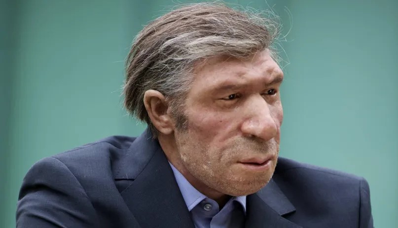 There's a bit of Neanderthal gene in your genes, too: Who are Neanderthal humans?