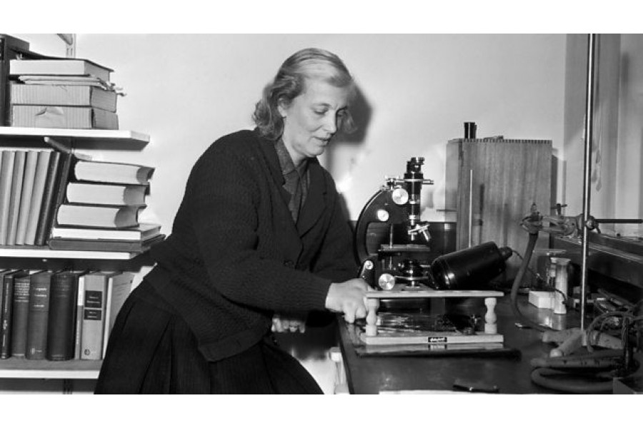 The chemist who discovered the structure of insulin and pioneered its progress until today: Who is Dorothy Hodgkin?