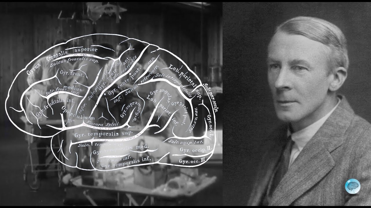 Thanks to him, we understood the electrical activity of the brain: Who is Edgar Douglas Adrian?