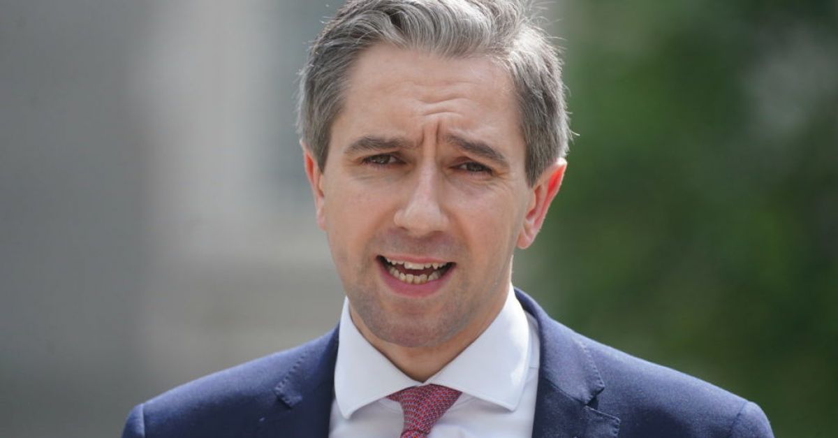 Ireland's youngest prime minister: Who is Simon Harris?