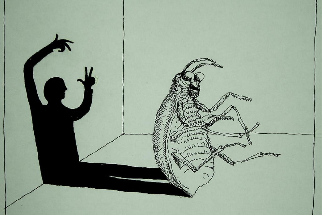 Who is Gregor Samsa and why did he turn into an insect?