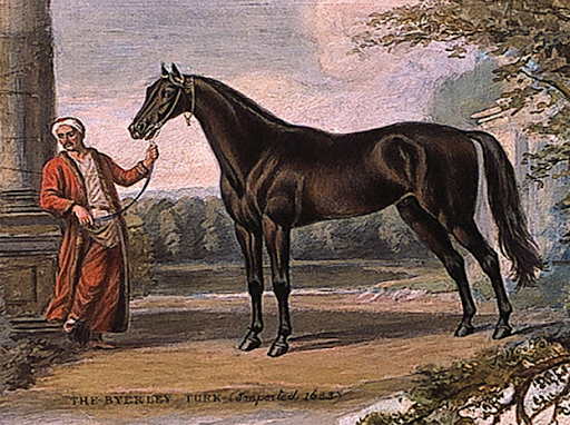 He is known as the father of thoroughbred racehorses in equestrian history: Who is Byerley Turk?