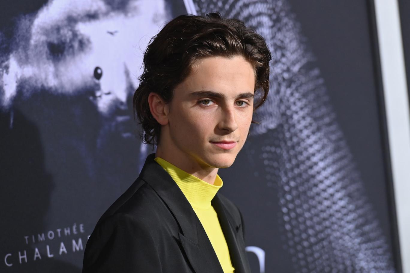 The actor women die for: Who is Timothée Chalamet?