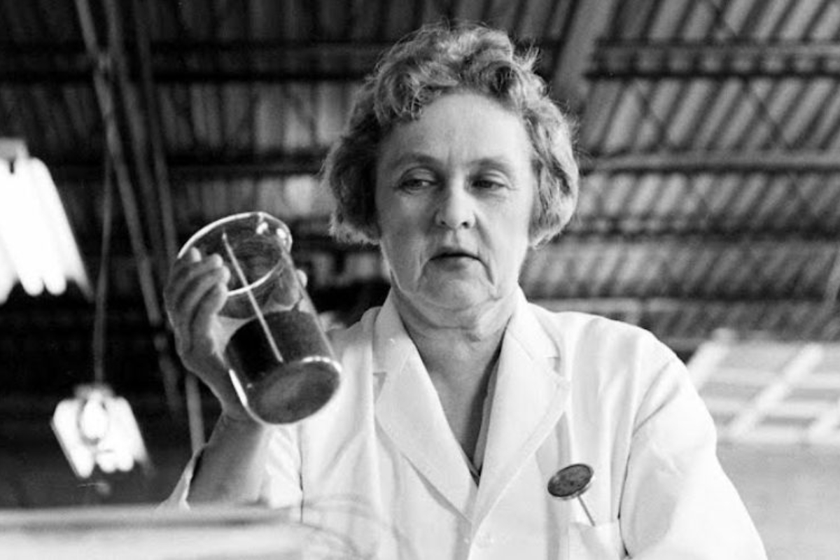 The biophysicist who earned the nickname "Queen of the Sun" for her inventions: Who is Mária Telkes?