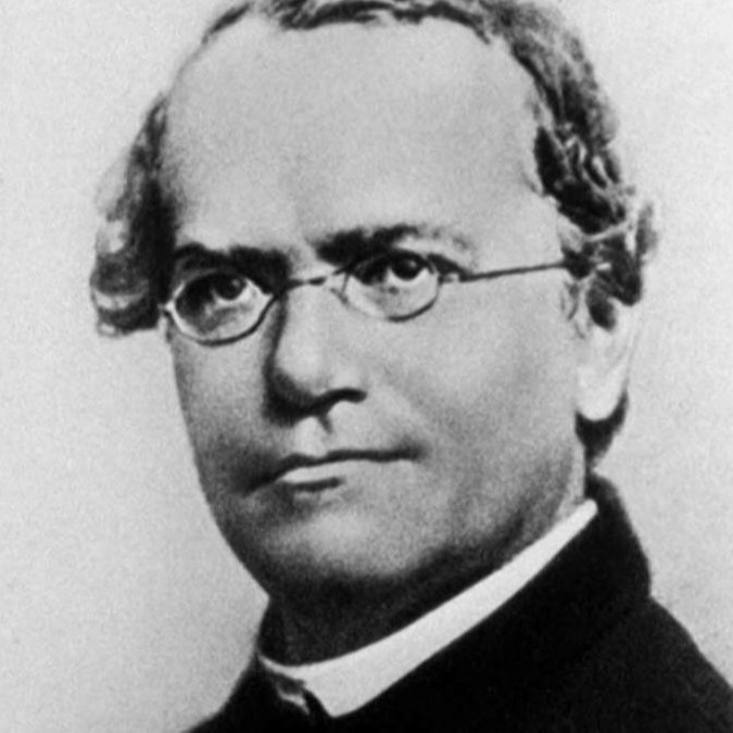 Mendel as the Father of Genetics: Who is Gregor Mendel?