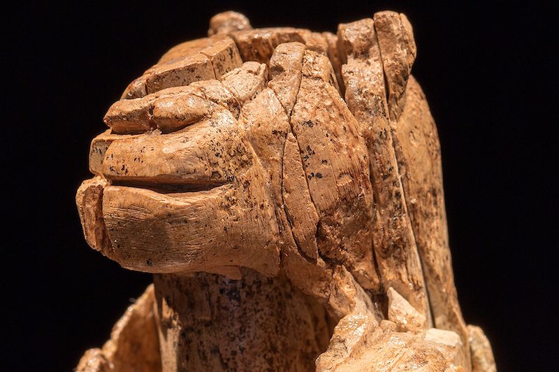 A 40 Thousand-Year-Old Mystery from the Oldest Artworks of Humanity: Who is the Lion Man?