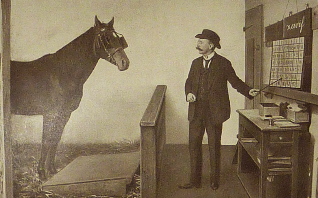 Whose horse is the mathematician Clever Hans?