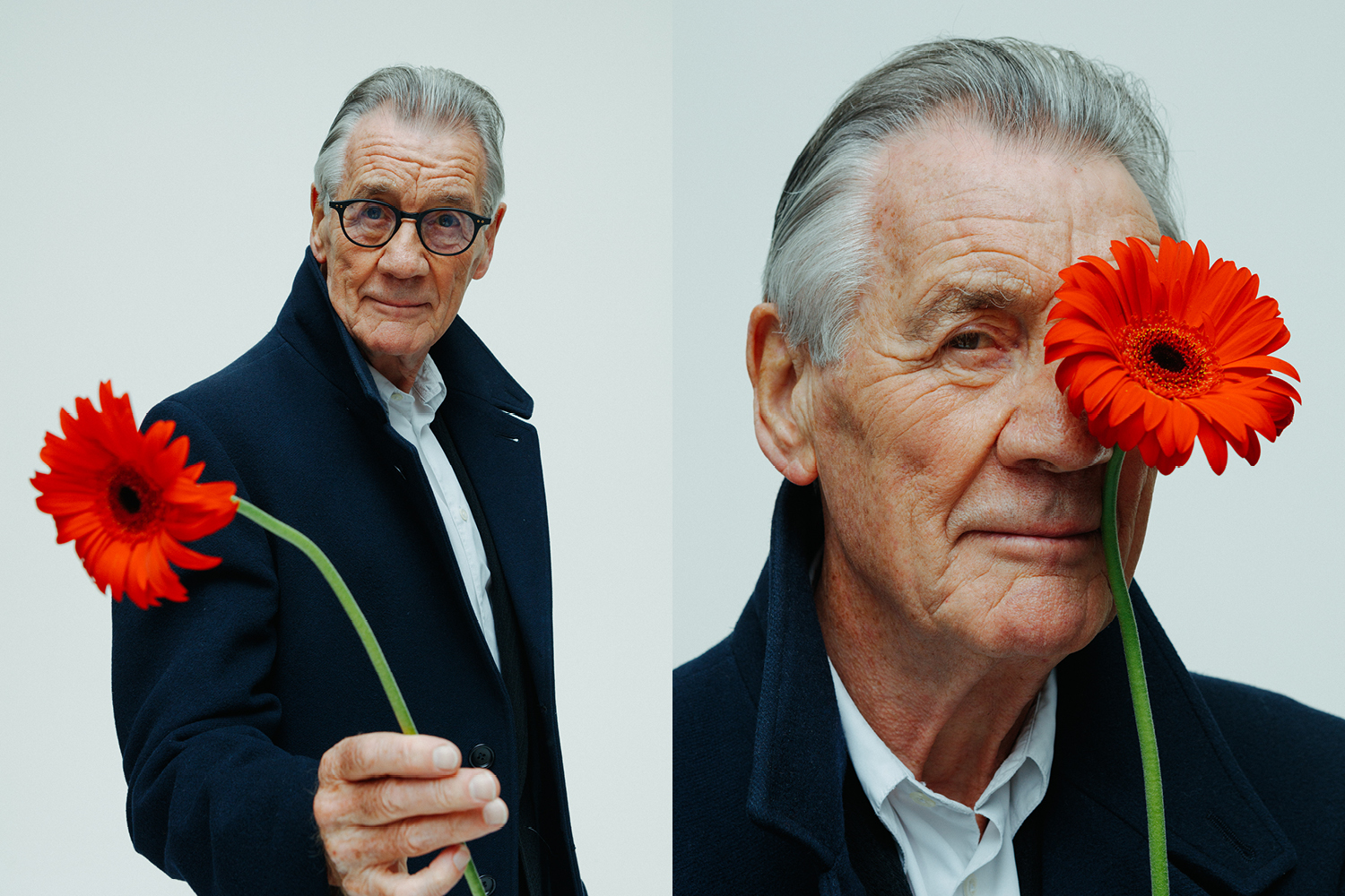 Famous comedian, member of Monty Python: Who is Michael Palin?