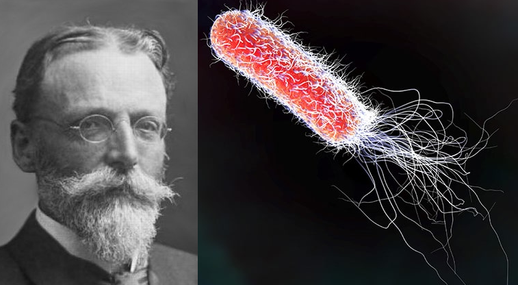 First Doctor Then Microbiologist: Who is Theodor Escherich?