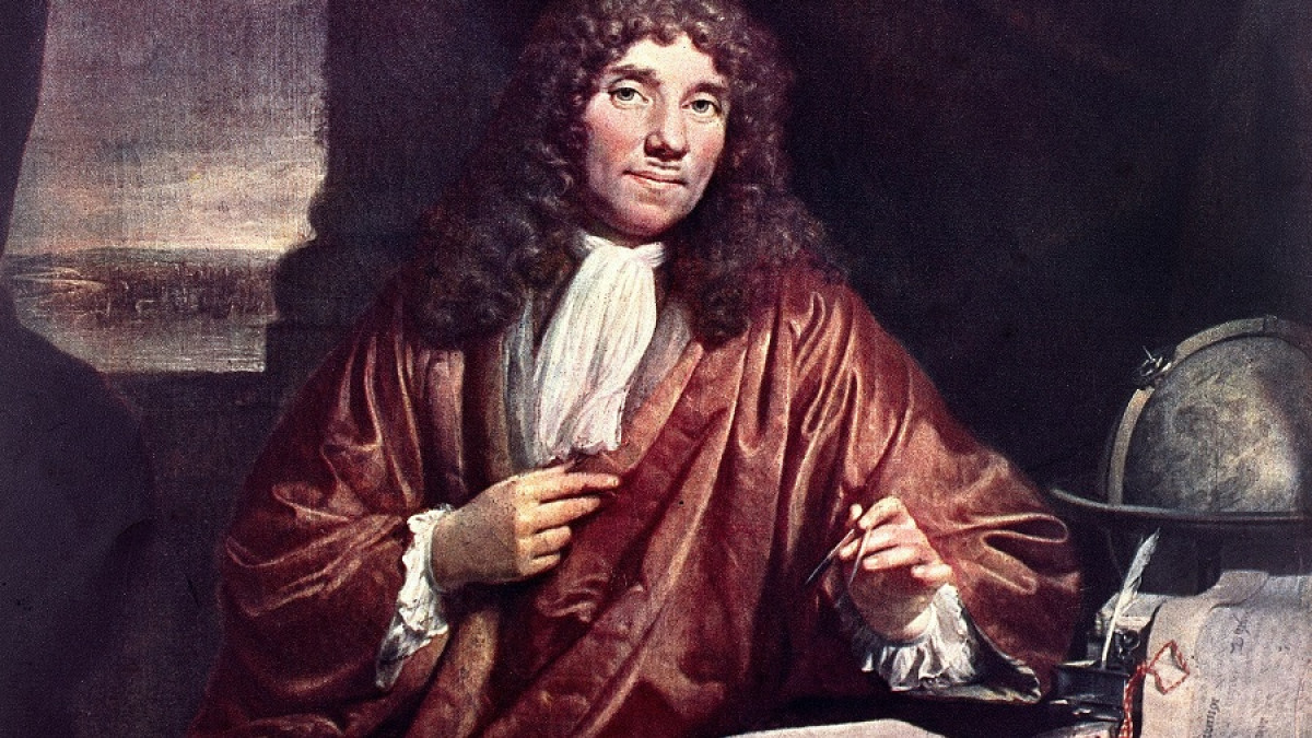 Founding father of microbiology: Who is Antony van Leeuwenhoek?