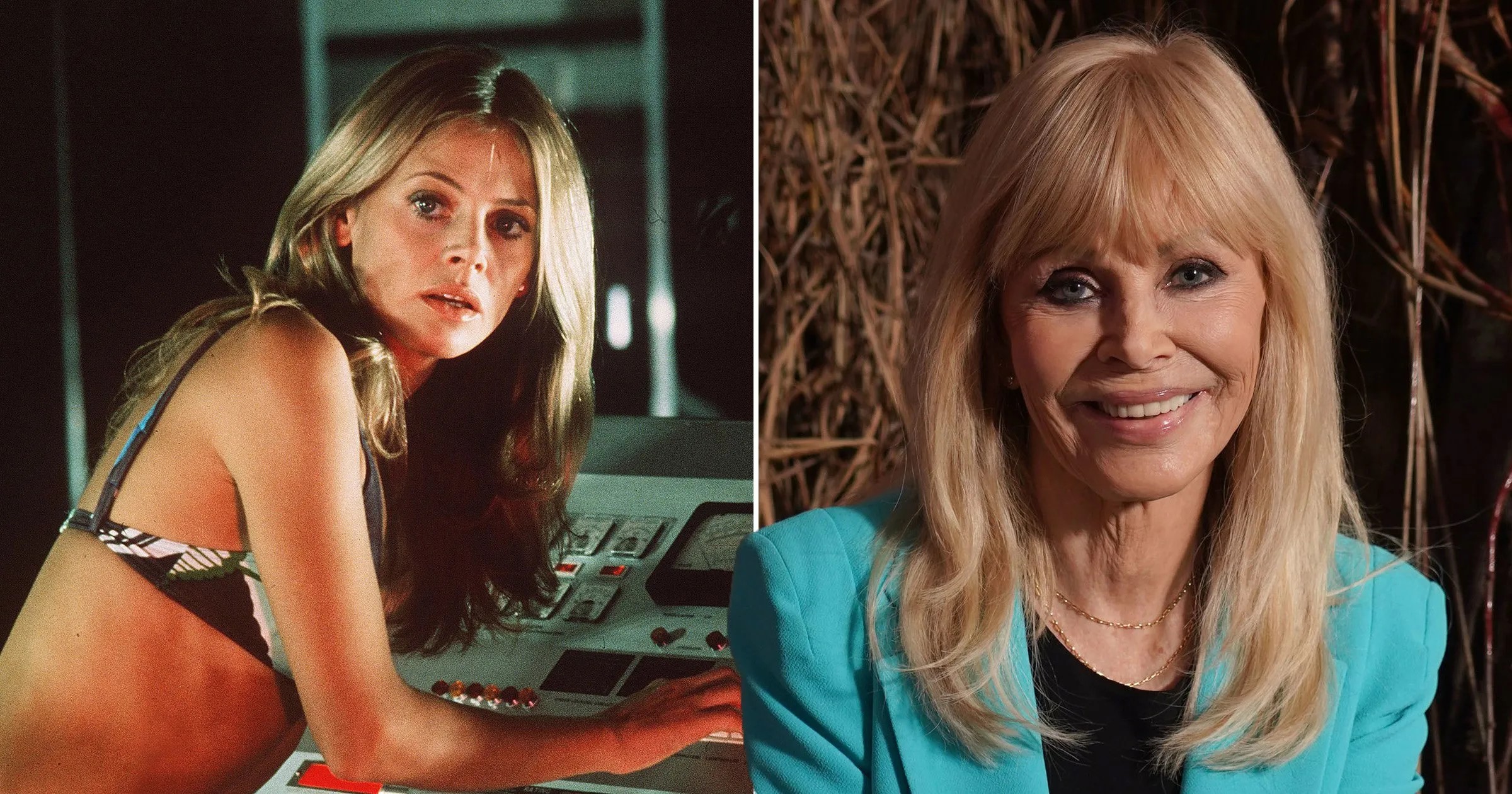 She says she turned her face into a wreck with plastic surgery: Who is Britt Ekland?