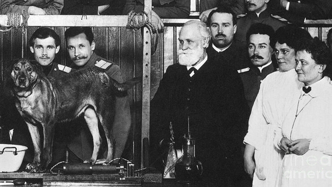 Nobel Prize winner with dog research: Who is Ivan Petrovic Pavlov?